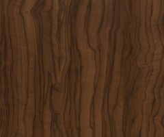 Latin Ceviz Suntalam